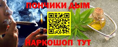 гидра Можга