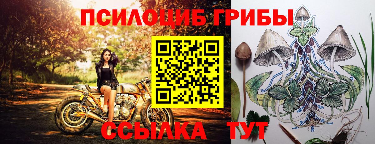 Псилоцибиновые грибы GOLDEN TEACHER  Вход с VPN  Сургут 