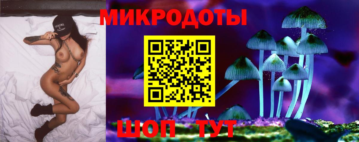 Псилоцибиновые грибы GOLDEN TEACHER Сургут